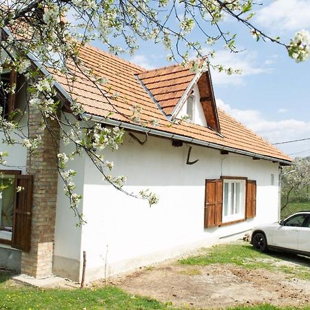 Вілла Casa Bunicii - Bran Sohodol Sohodol  Екстер'єр фото