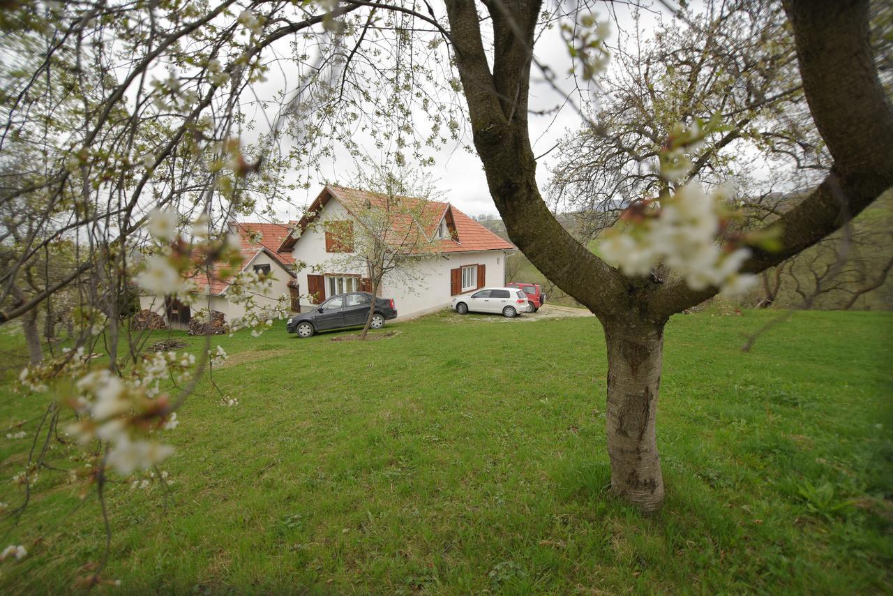Вілла Casa Bunicii - Bran Sohodol Sohodol  Екстер'єр фото