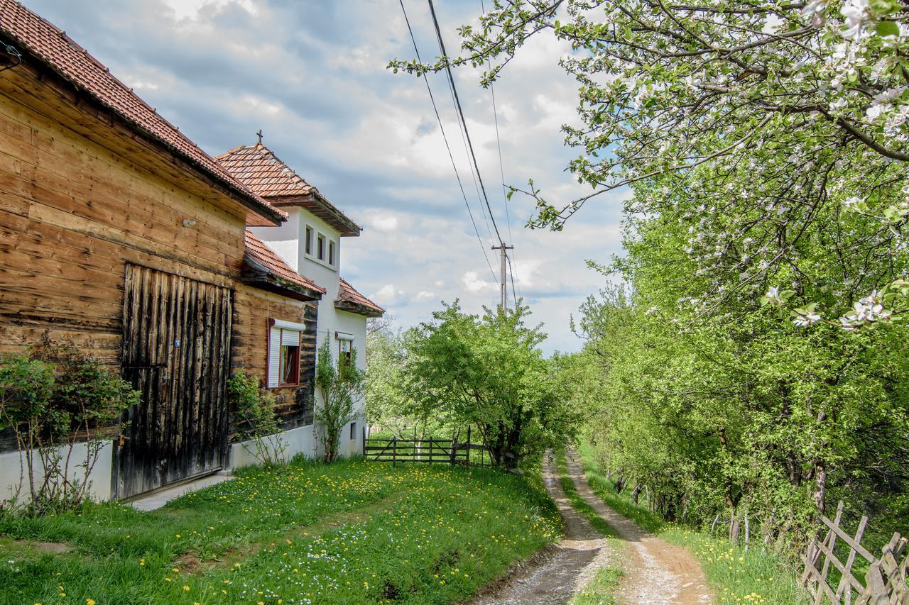 Вілла Casa Bunicii - Bran Sohodol Sohodol  Екстер'єр фото