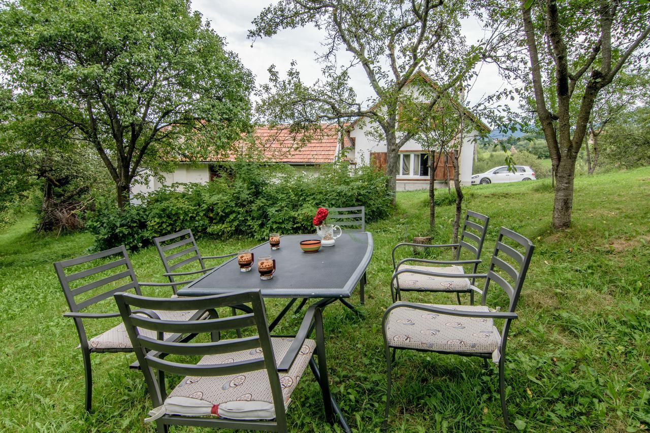 Вілла Casa Bunicii - Bran Sohodol Sohodol  Екстер'єр фото