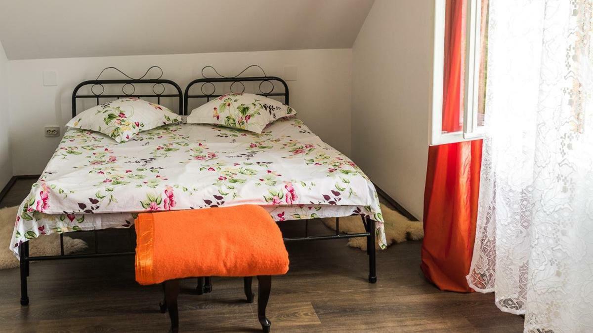 Вілла Casa Bunicii - Bran Sohodol Sohodol  Екстер'єр фото