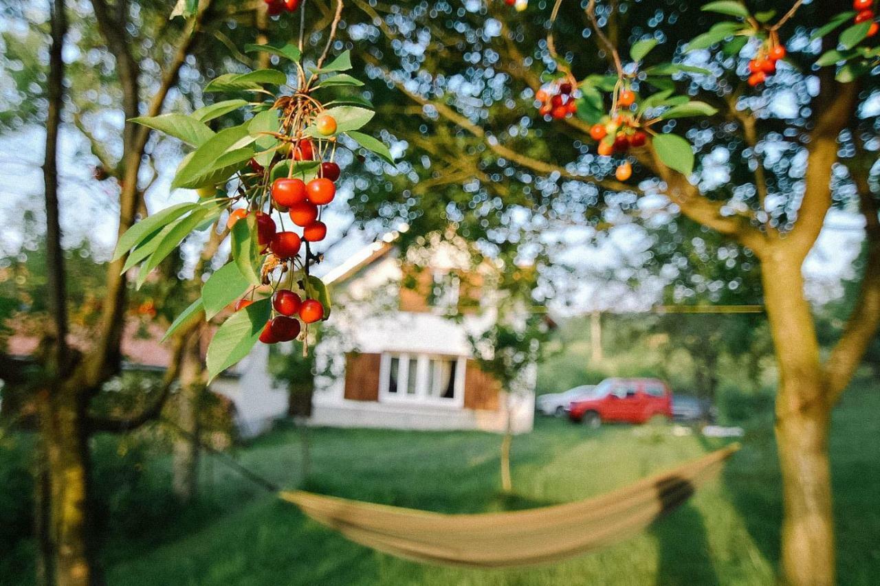 Вілла Casa Bunicii - Bran Sohodol Sohodol  Екстер'єр фото