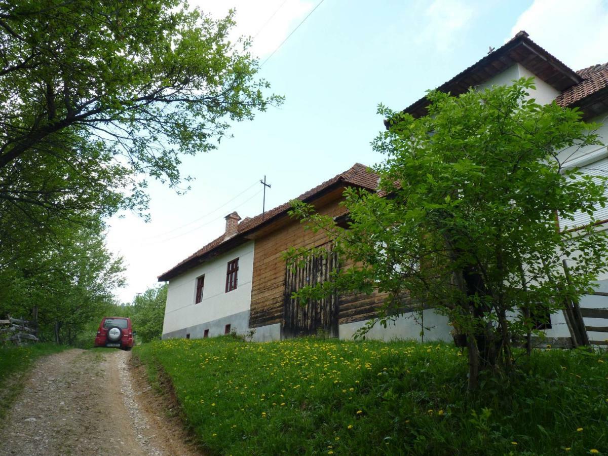 Вілла Casa Bunicii - Bran Sohodol Sohodol  Екстер'єр фото