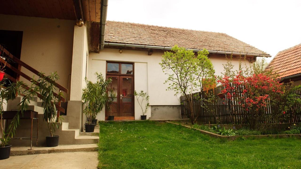 Вілла Casa Bunicii - Bran Sohodol Sohodol  Екстер'єр фото